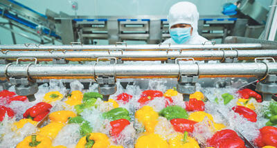 做大做强农产品加工业 推动农业现代化转型