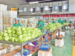 春华秋实 以质量与信用助力农产品走向世界