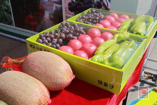 丰收盛典 2019第二届中国农民丰收节特色农产品和非遗工艺展盛大启幕