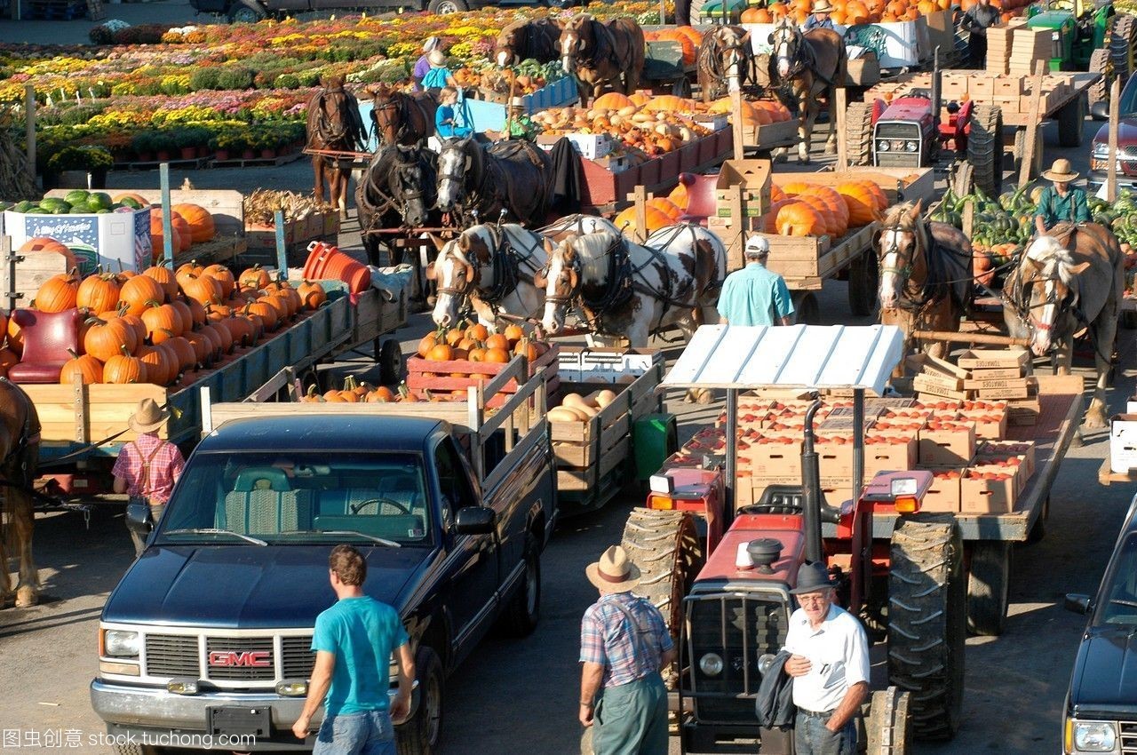 农产品拍卖会上的农民 从田间到市场的光荣与挑战