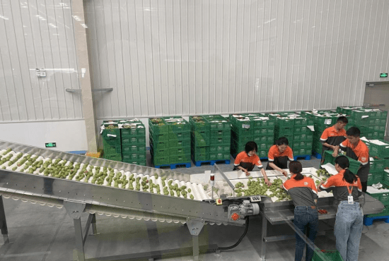 农产品贮藏与加工 基础理论与关键技术概述