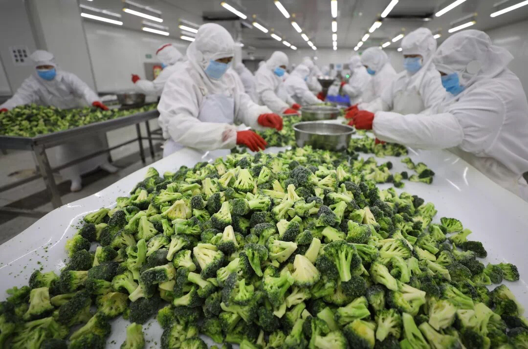 沂南开足马力 速冻蔬菜加工忙，拓宽农产品增值新路径