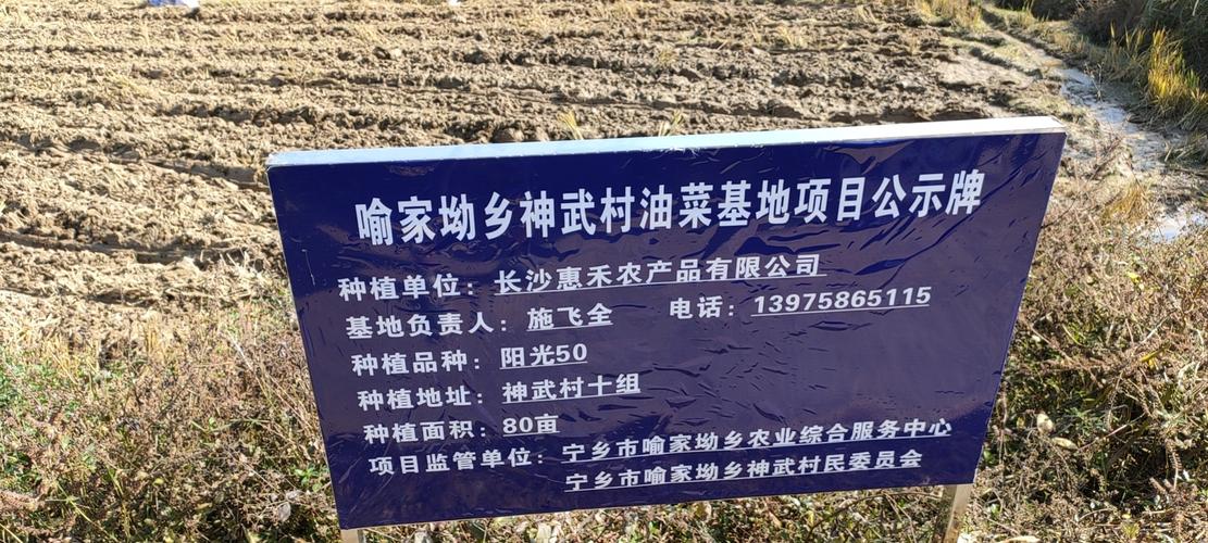 品质源自然，鲜达千万家——探访长沙惠禾农产品的坚守与创新