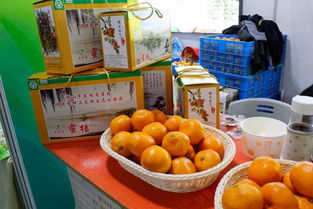 再掀热潮 丽水生态农产品今日亮相2019浙江农博会