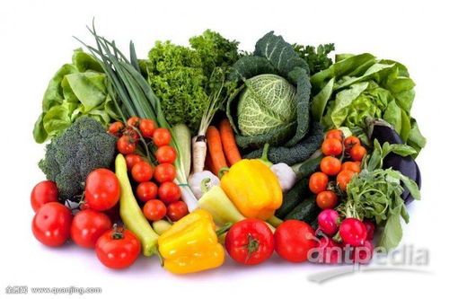 海南农产品品质再创新高，去年合格率突破99.54%