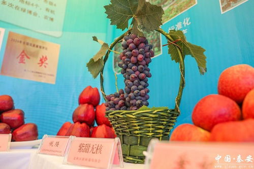 天水花牛苹果与各县区特色农产品展示展销活动掠影