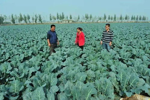 临沂市农产品质量安全监管与执法能力提升纪实