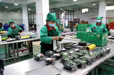 阿里整合数字化农业资源，陕西将建盒马村助力农产品升级