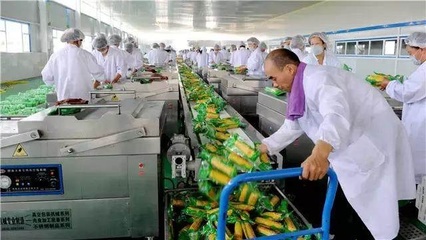 大农推介 农产品深加工，开启致富新篇章